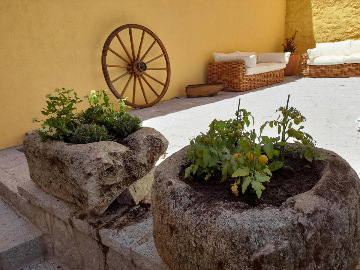Casa Rural Del Tio Maino Becerril de la Sierra Bagian luar foto